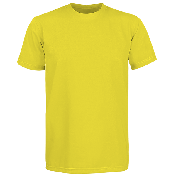 Premium Plain Round Neck Shirt  Custom T-shirts by Craft Clothing