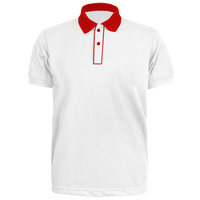 Custom Polo Shirt - Ellis (PS38)