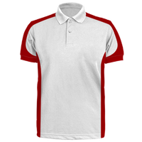 Custom Polo Shirt - Paul (PS21)